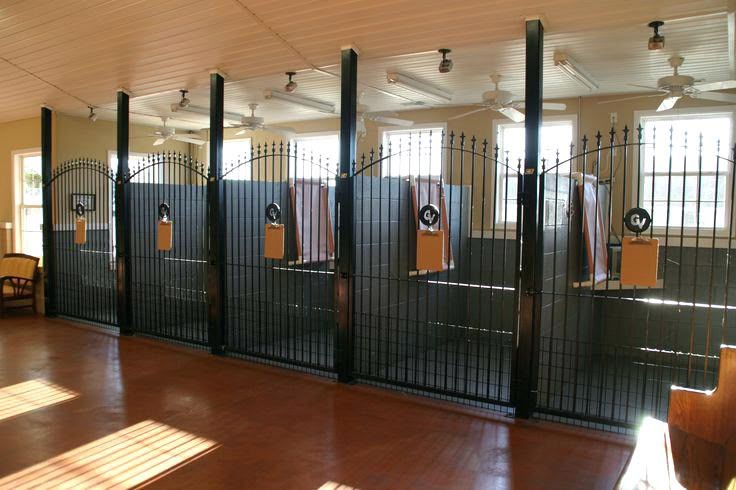 dog boarding facility interior