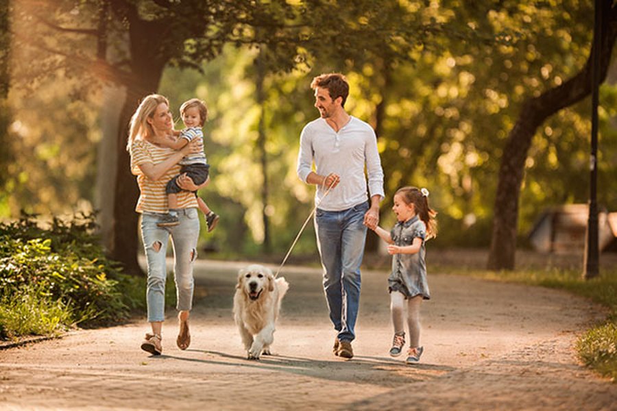 dog-ownership-considerations-hebrew-fsq9uo52