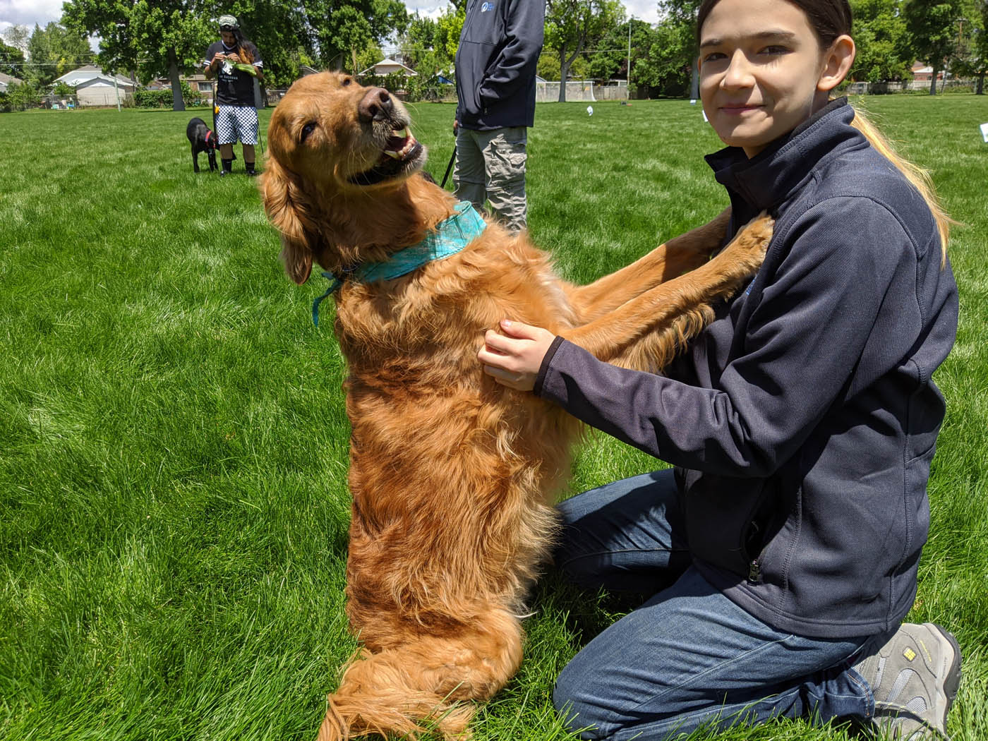 outdoor dog training session