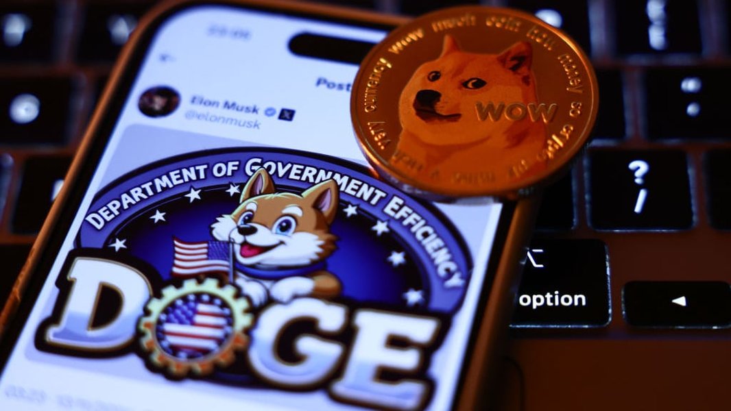 doge-data-access-controversy-p9x6mumi