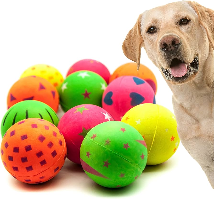 vibrant dogs playing with colorful balls