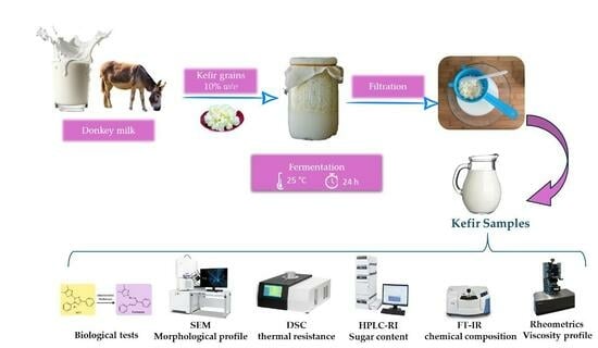 donkey milk fermentation process
