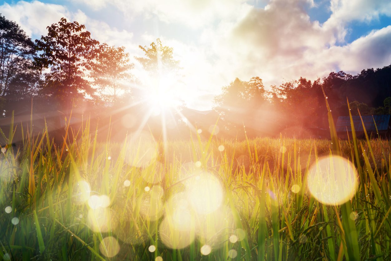 sunlight nature dopamine