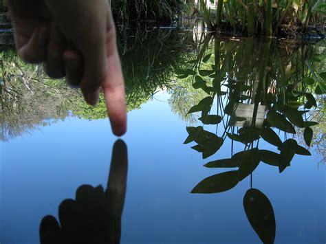 symbolic scenery self reflection