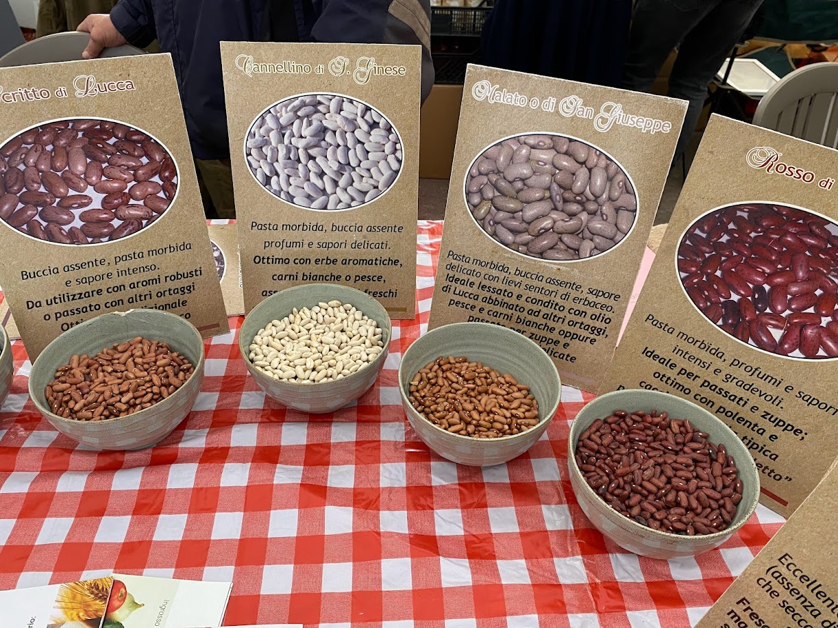 dried beans and peas arranged in bowls on rustic table