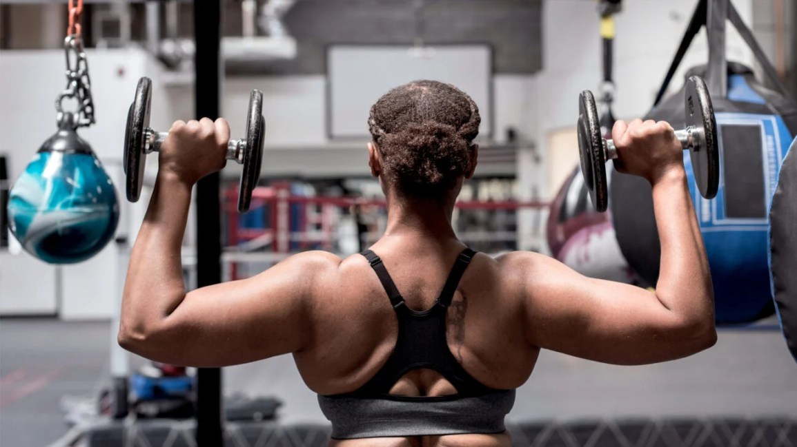 dumbbells exercise gym equipment