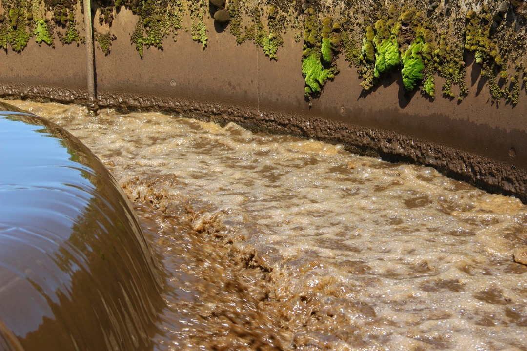 river scenery agricultural waste activated charcoal