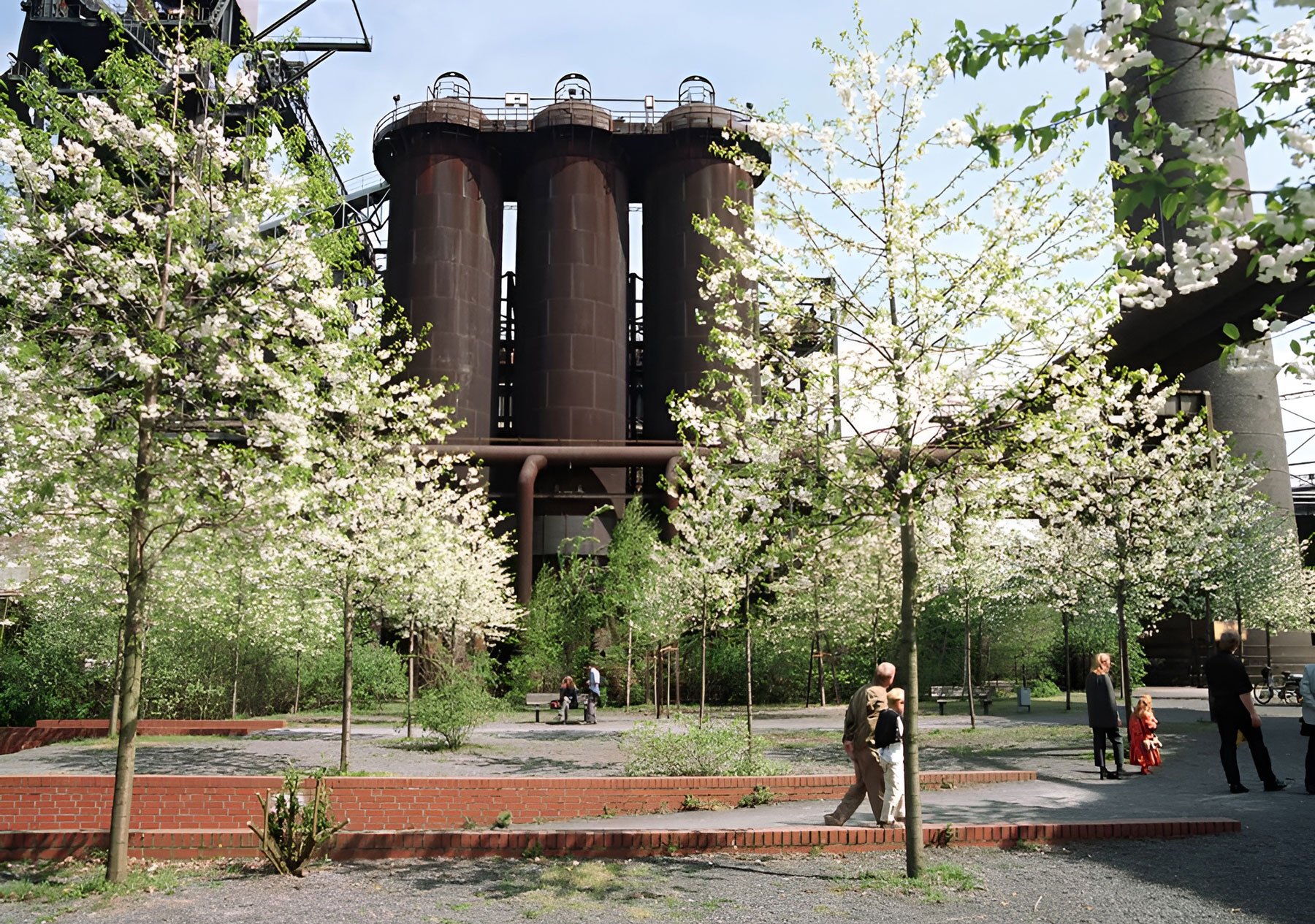 forest landscape industrial transition