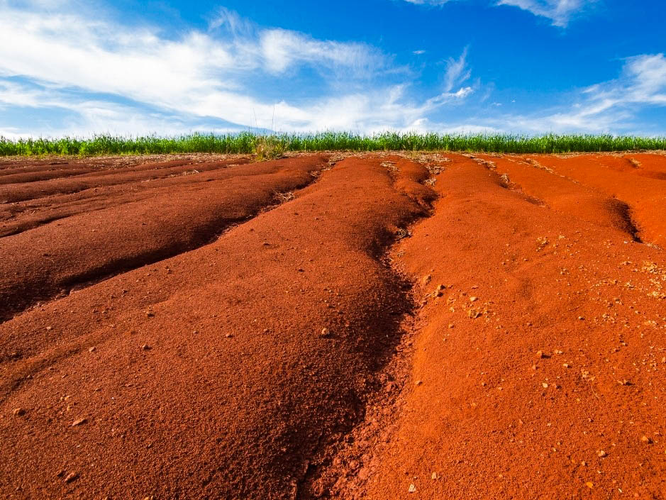 physical scenery ecosystem field soil