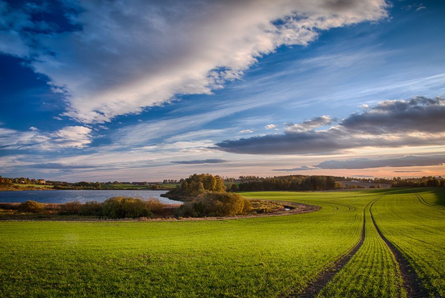 landscape farm fields