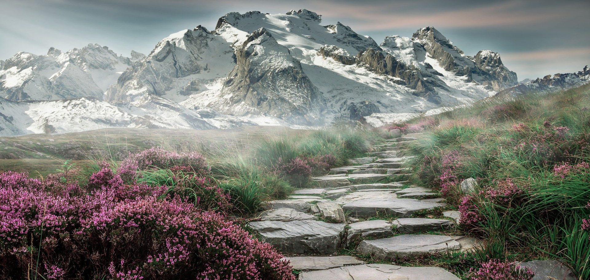 mountain range biodiversity landscape