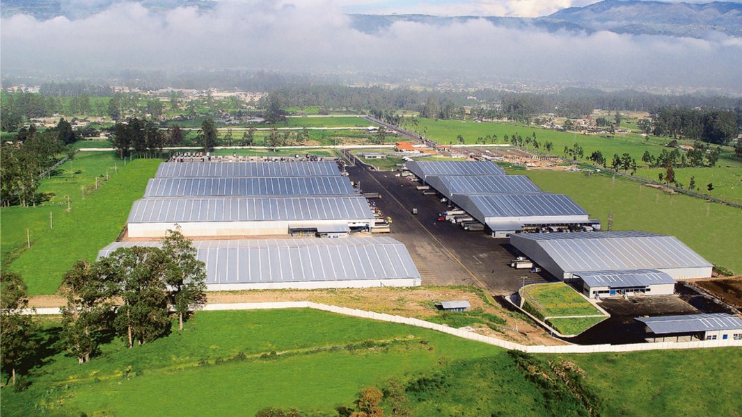 ecuador-network-device-distributor-leaders-425snkmh