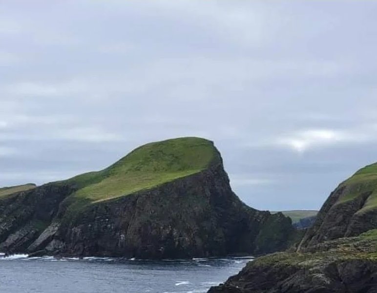 Fair Isle Sheep