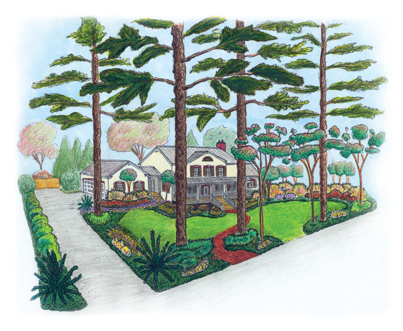 local professional community scenery