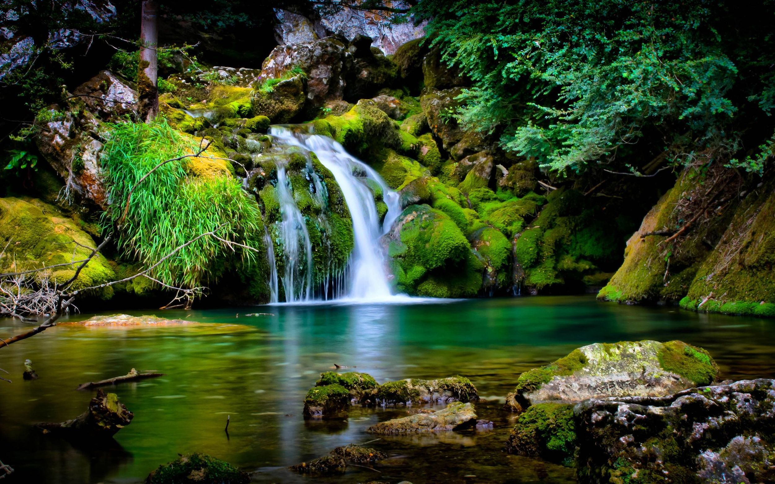 stress relief nature