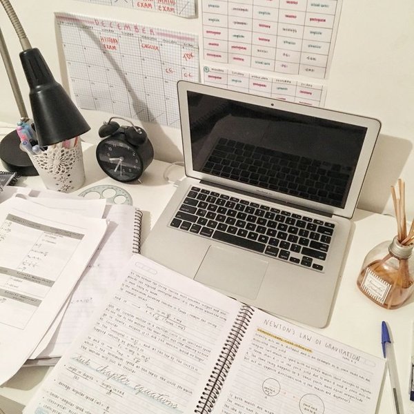 Student studying with notes and laptop