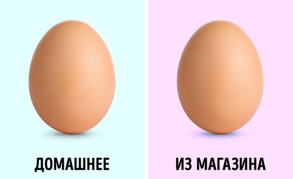 Разноцветные куриные яйца