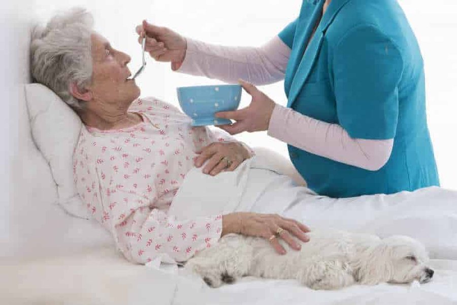 elder-abuse-care-course-plan-xxyrtwea