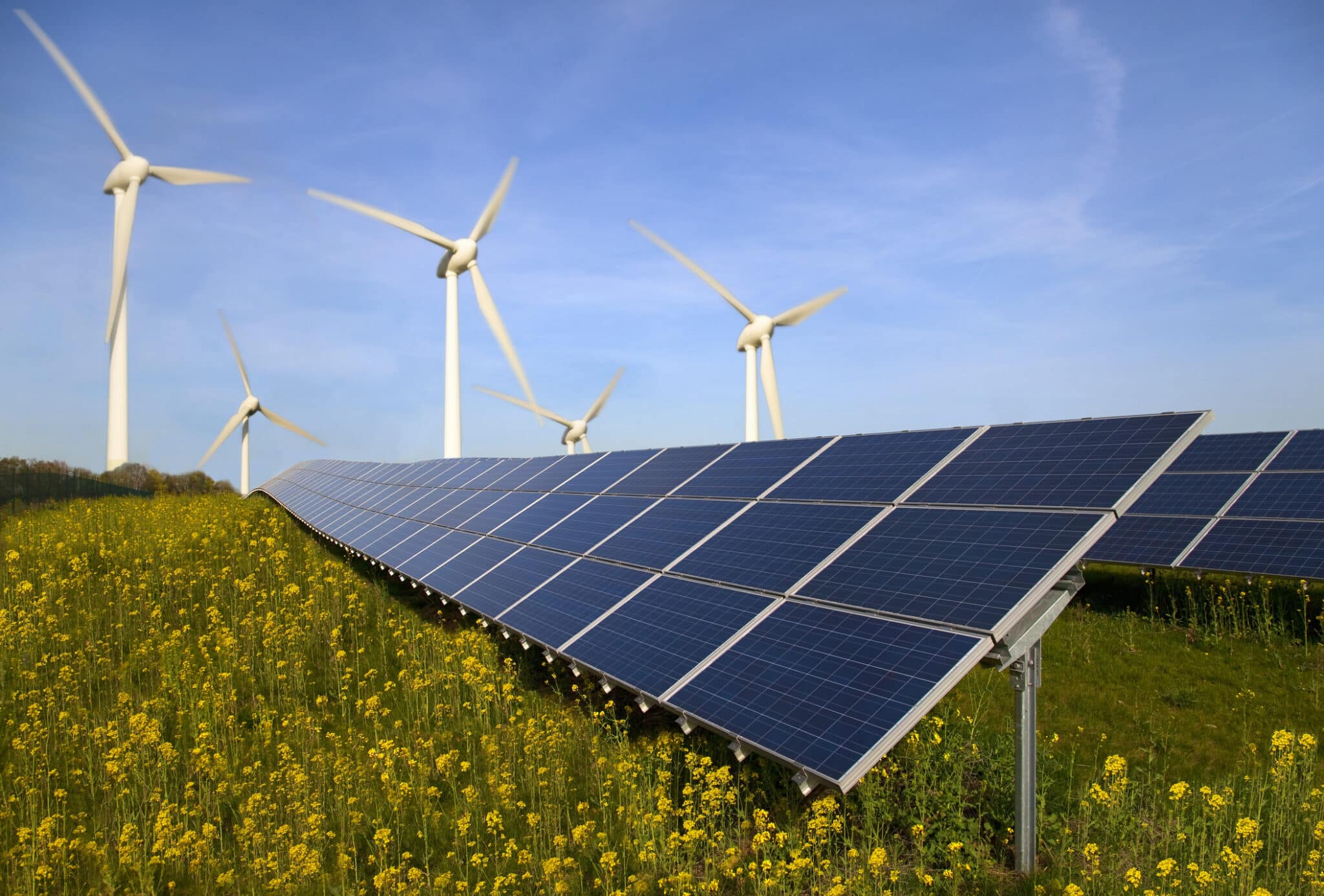 wind turbines and solar panels