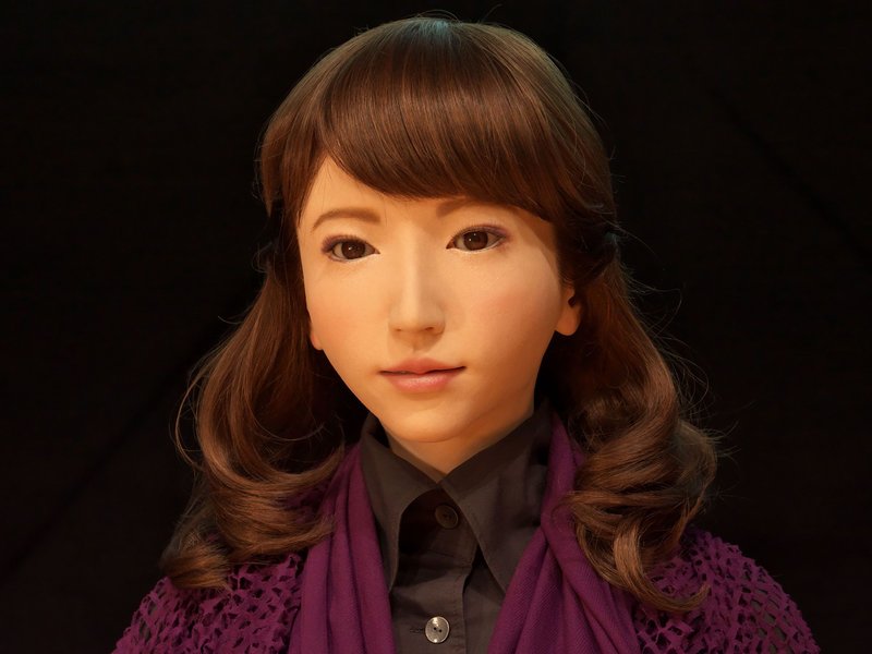 Erica Humanoid Robot
