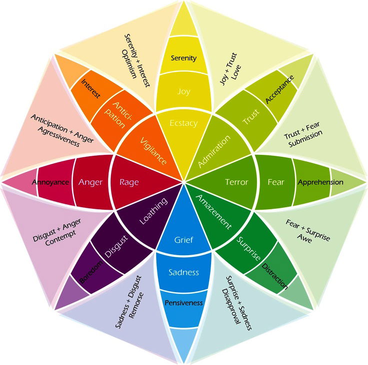emotion wheel colors emotions conceptual diagram