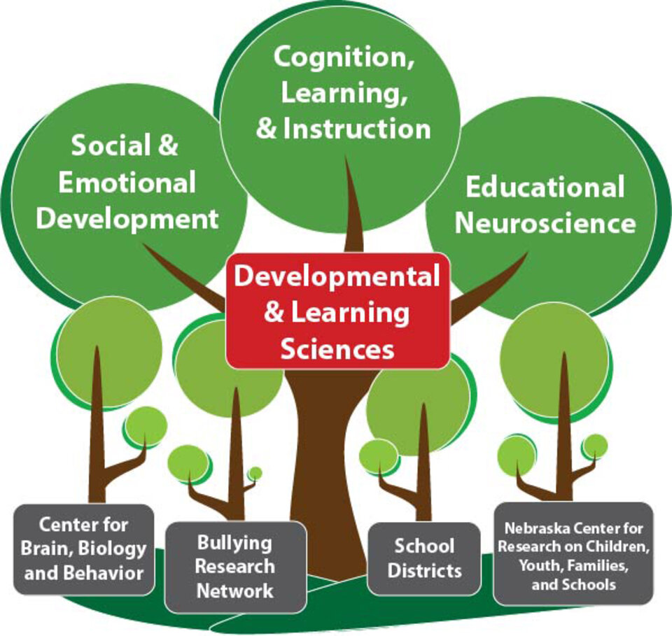 emotional development educational diagram