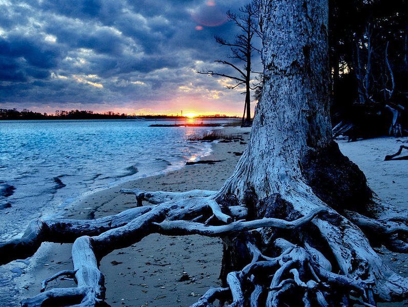 motivational landscape