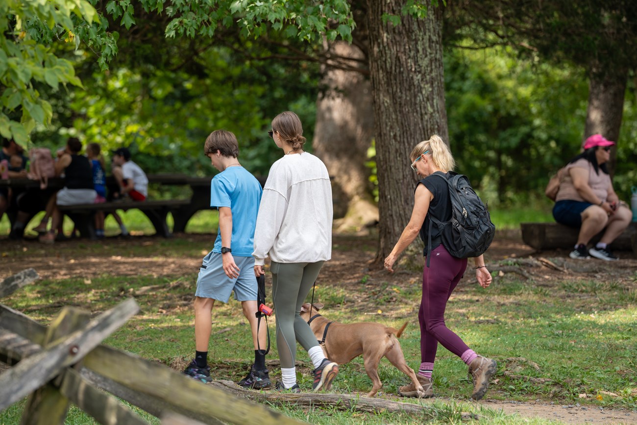 scenic park with people interacting