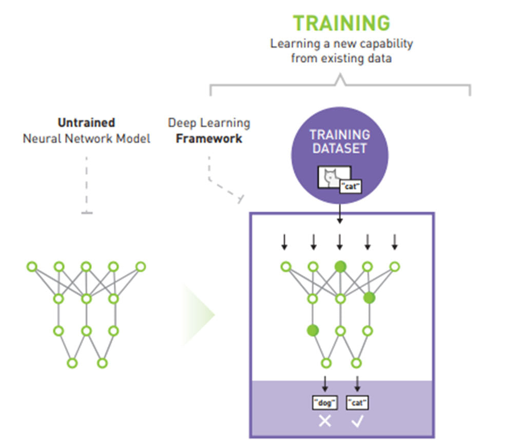 deep learning algorithm computer servers