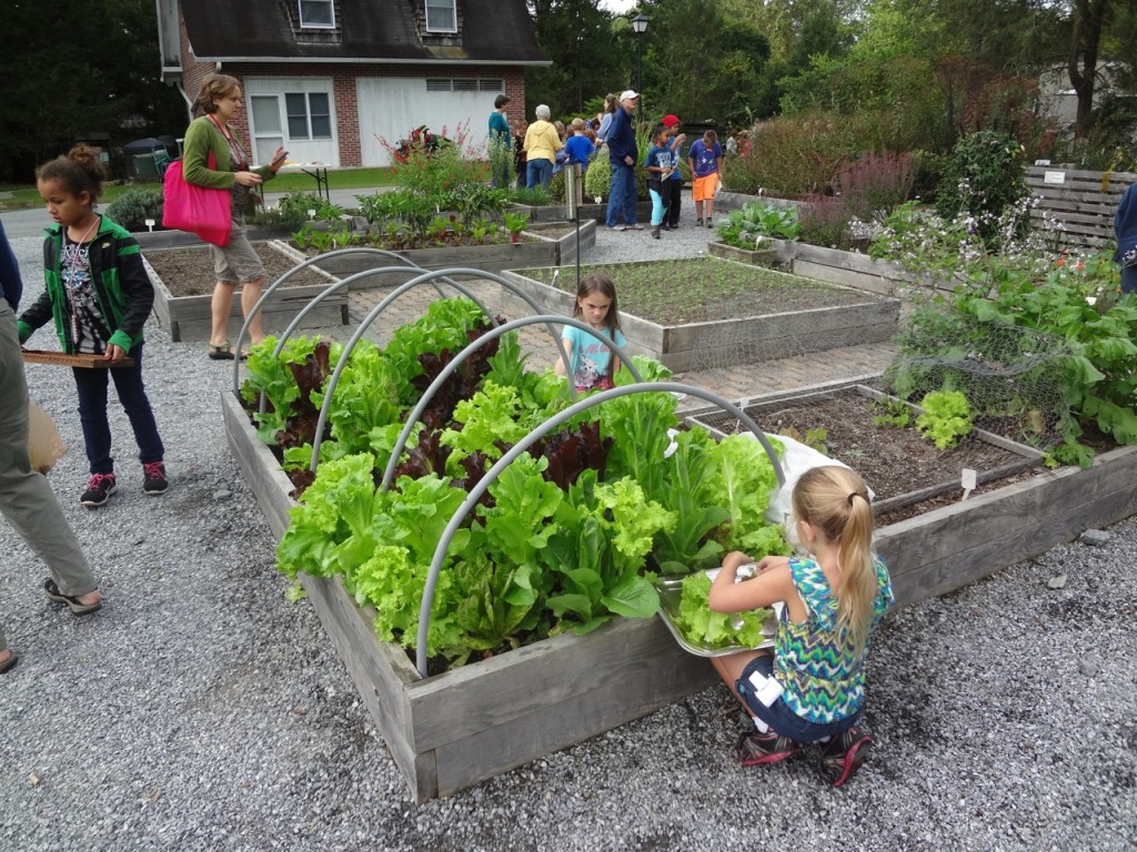 school landscaping and green community activities