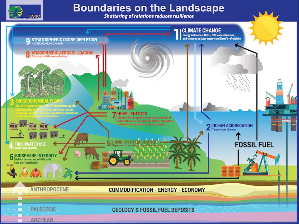 environmenal science sustainable landscape