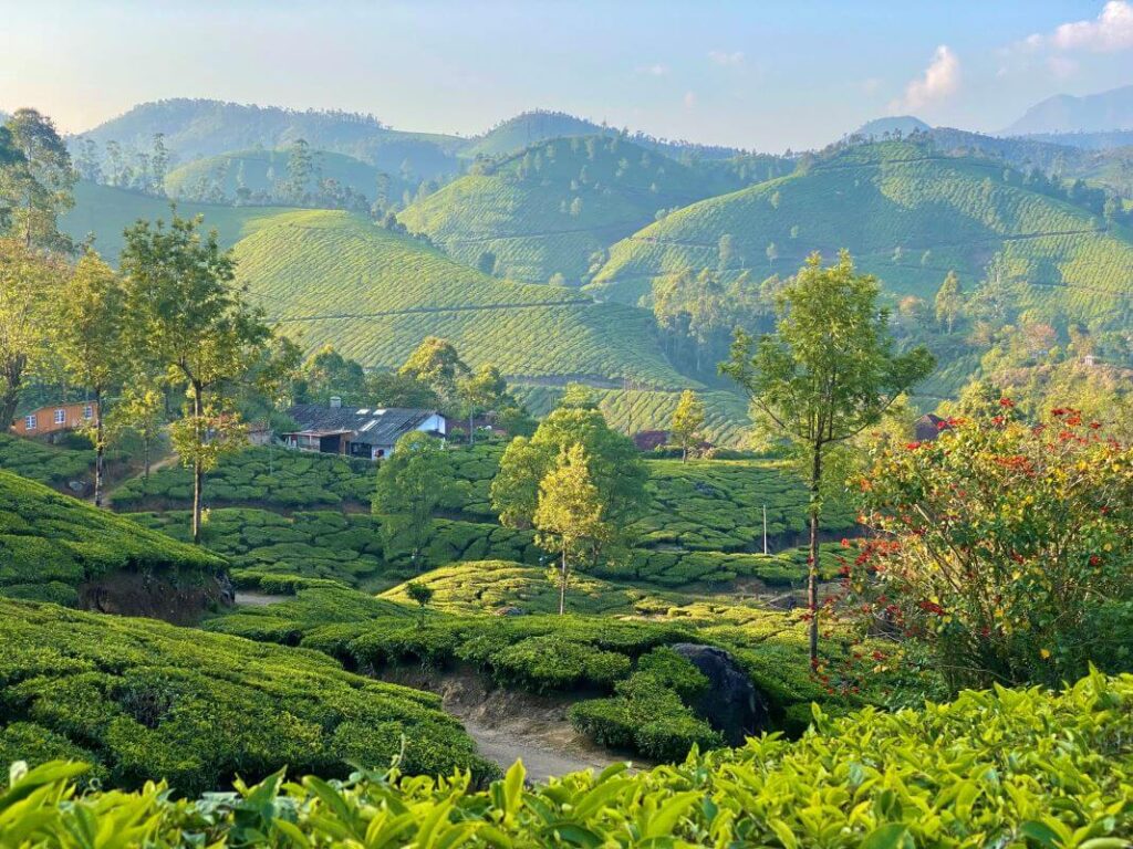 india environment scenic landscapes