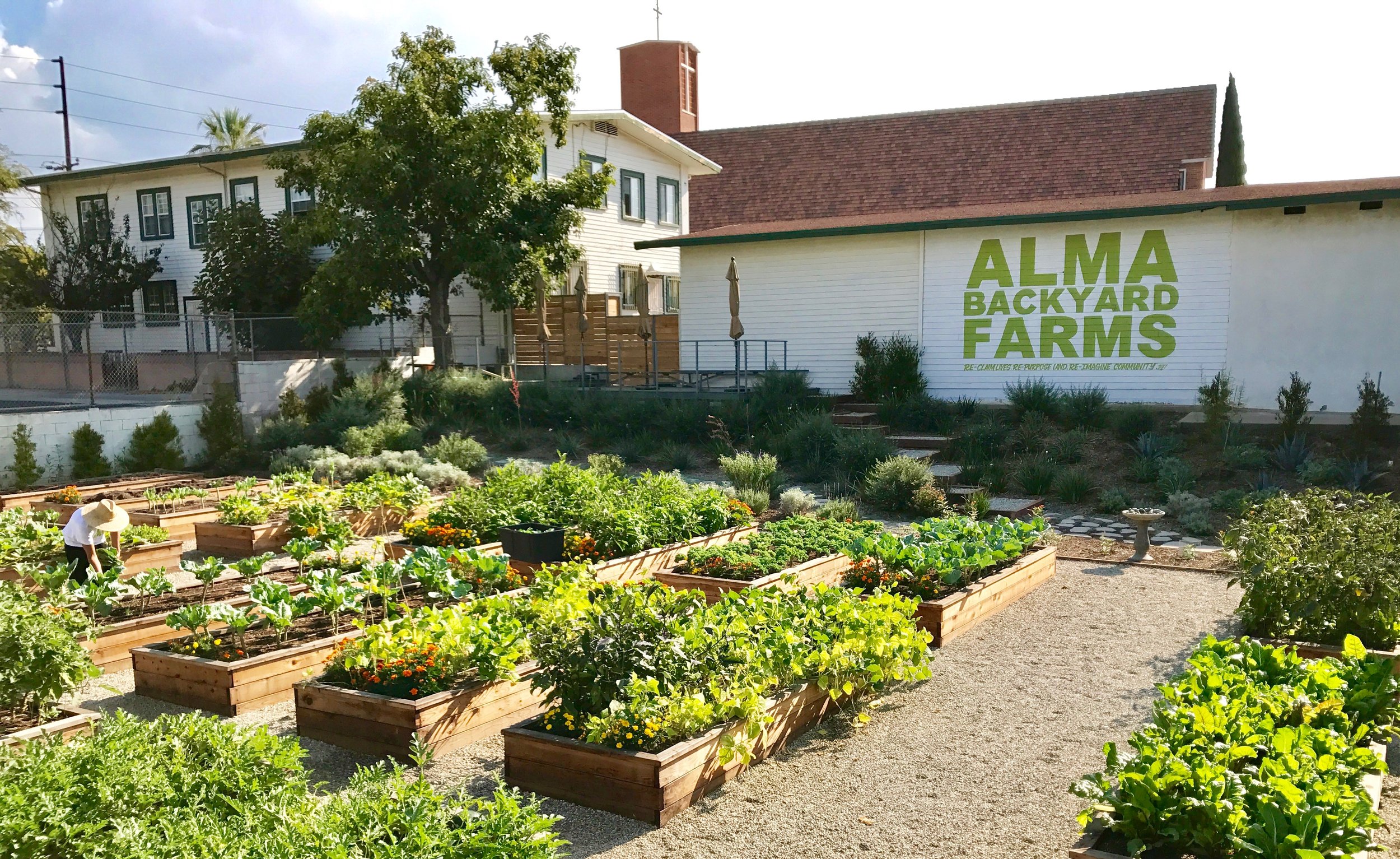urban community garden marketplace