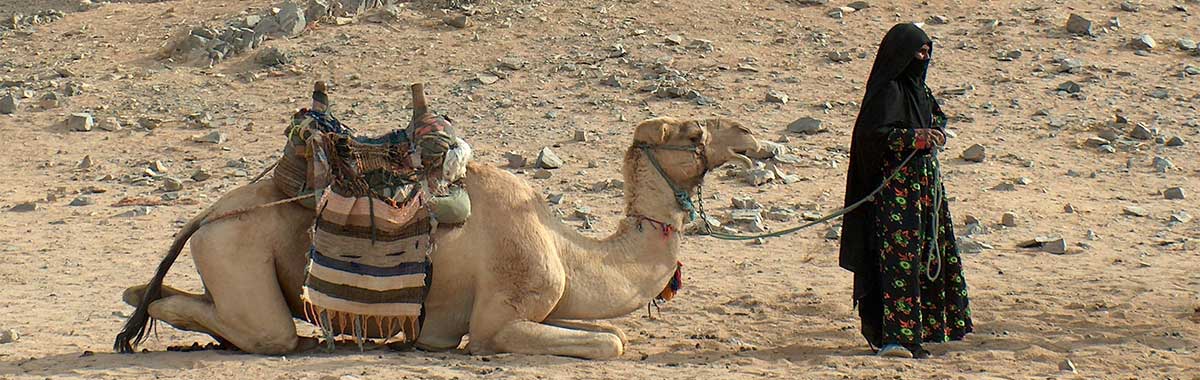 arabian desert and bedouin life