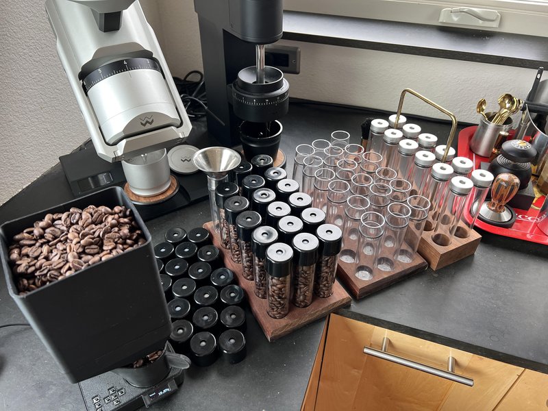 Person counting coffee beans from a small scoop into a container