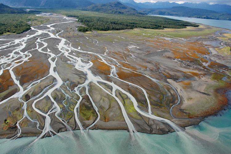 estuaries coastal landscapes