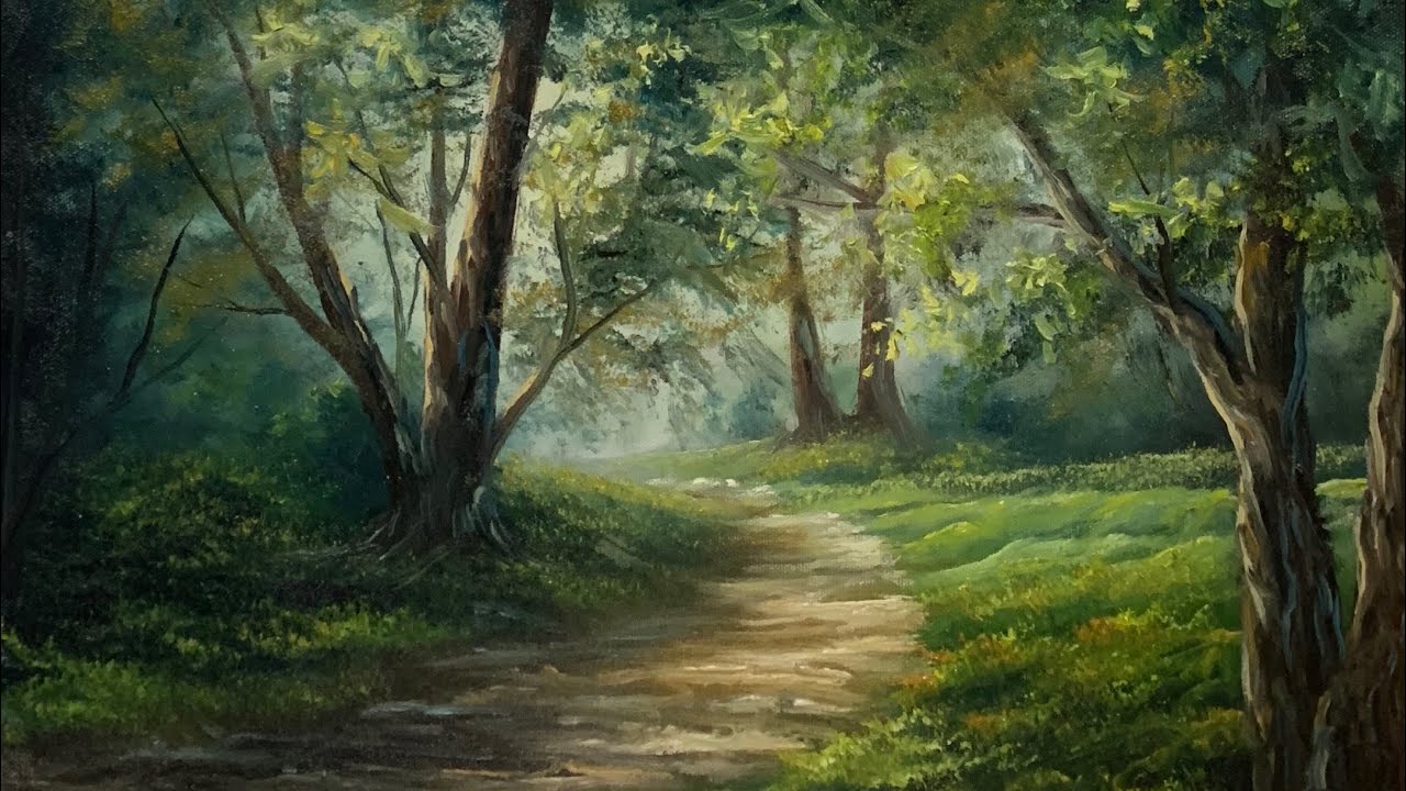 sunlit forest path
