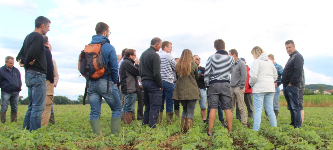 evaluation-coordinateur-equipe-agroforesterie-wh6r4fcj