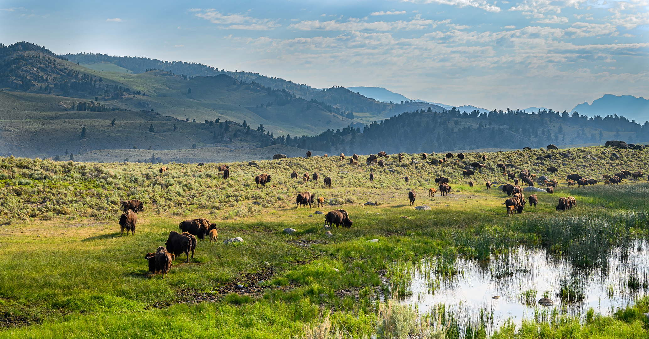 scenic natural landscape impact