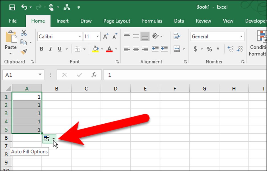 Excel AutoFill Options