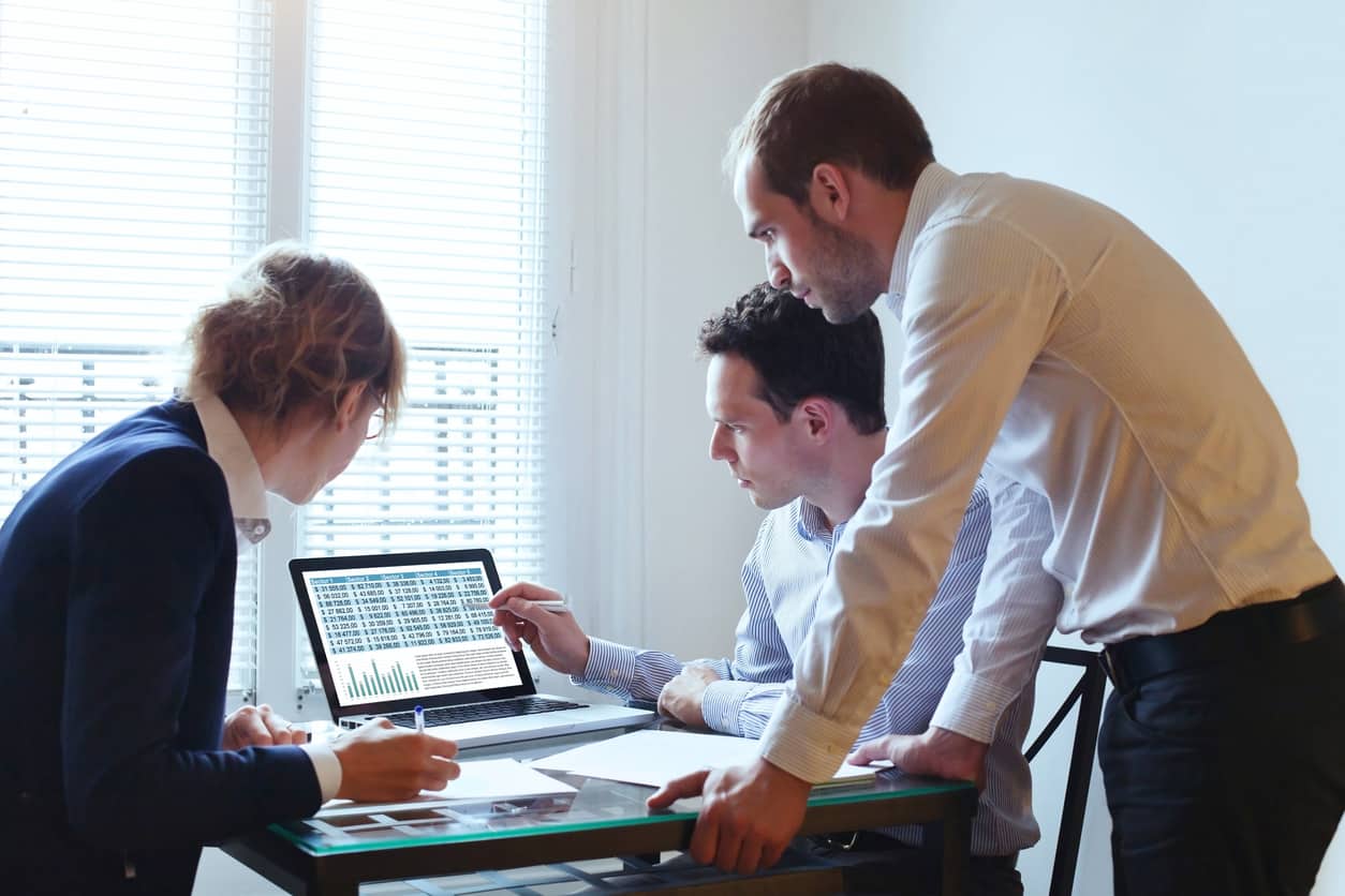 people using excel on laptop