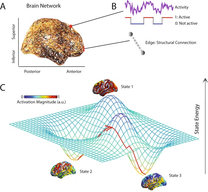 physical scenery, abstract representations of brain and nature