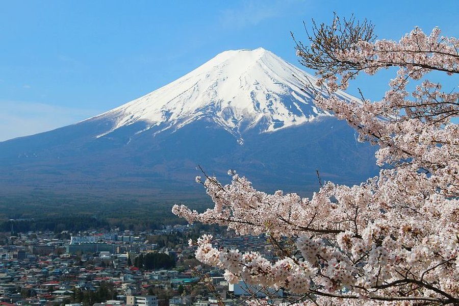 explore-japan-bulletin-board-ldo85n2j