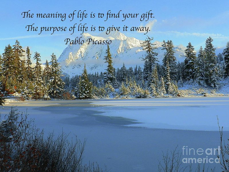 exploring-meaning-of-life-31wj4ldg
