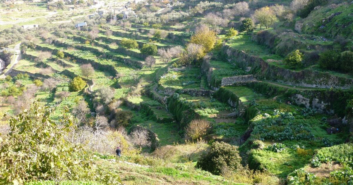 israel palestine landscape