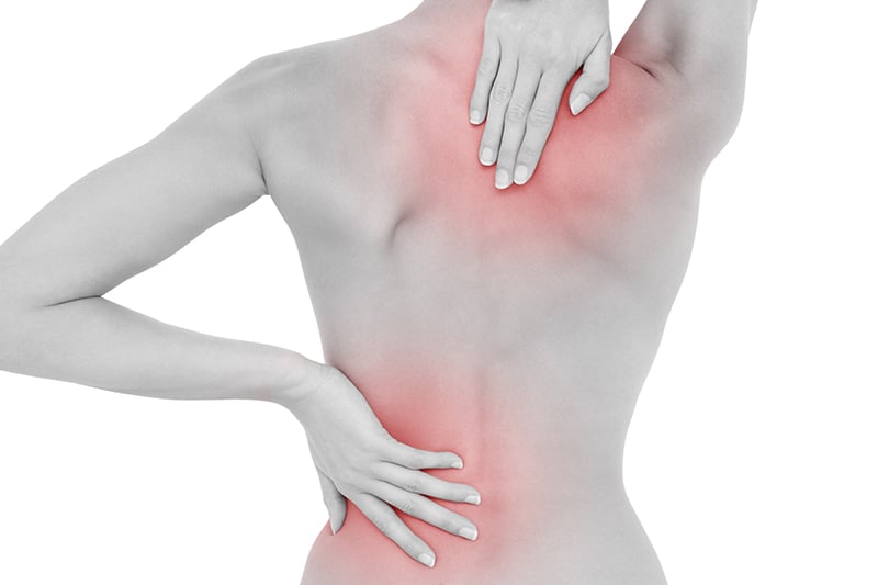 lumbar spine anatomy physical therapy