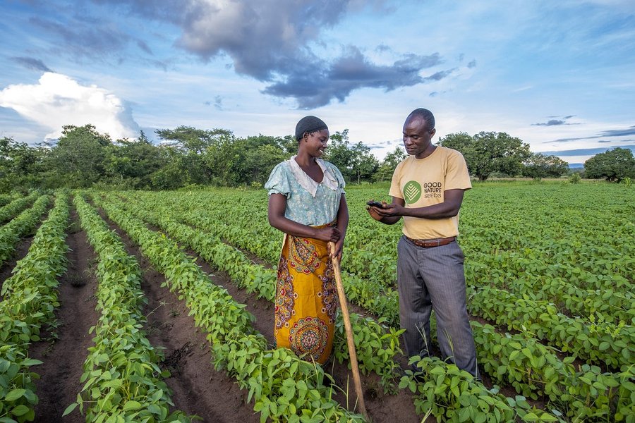 rural african landscape farming