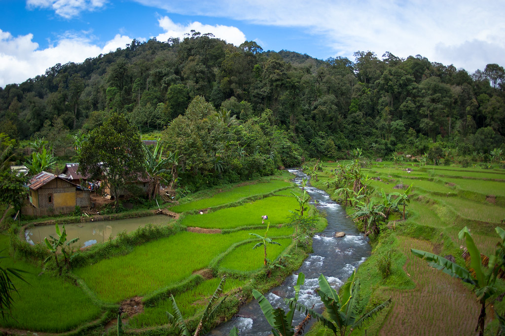 traditional west java farmhouse landscape
