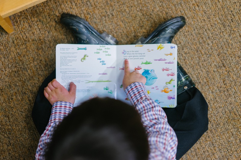 speed reading books environment
