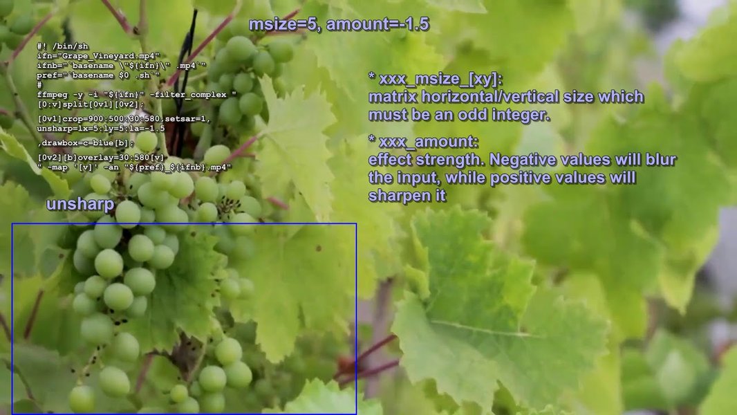 FFmpeg unsharp filter applied to video footage.